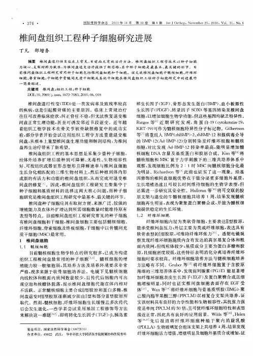 椎间盘组织工程种子细胞研究进展