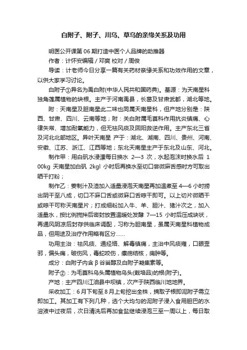 白附子、附子、川乌、草乌的亲缘关系及功用
