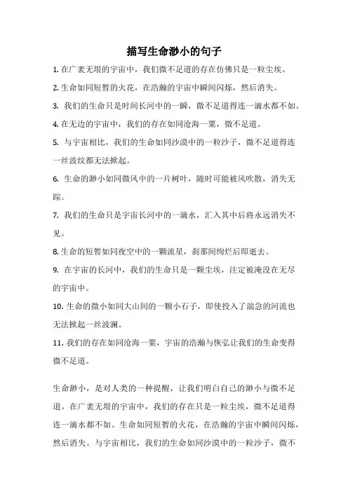 描写生命渺小的句子