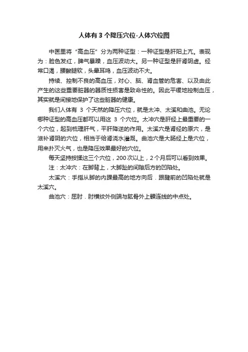人体有3个降压穴位-人体穴位图
