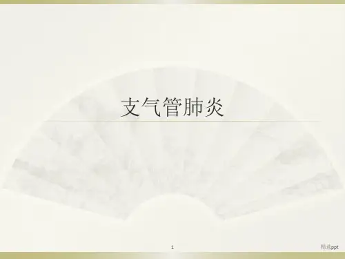 支气管肺炎业务学习