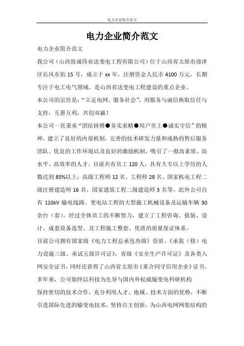 党团范文 电力企业简介范文
