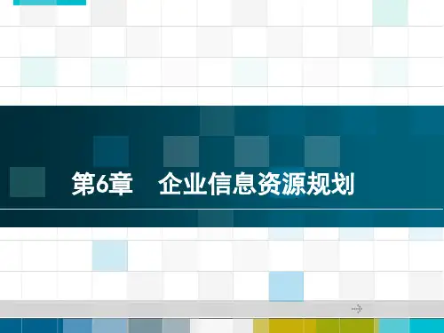第6章 企业信息资源规划