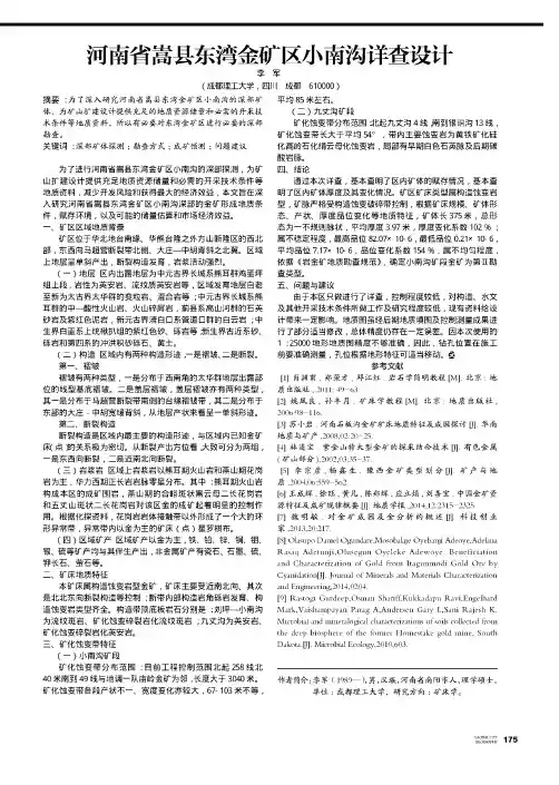 河南省嵩县东湾金矿区小南沟详查设计