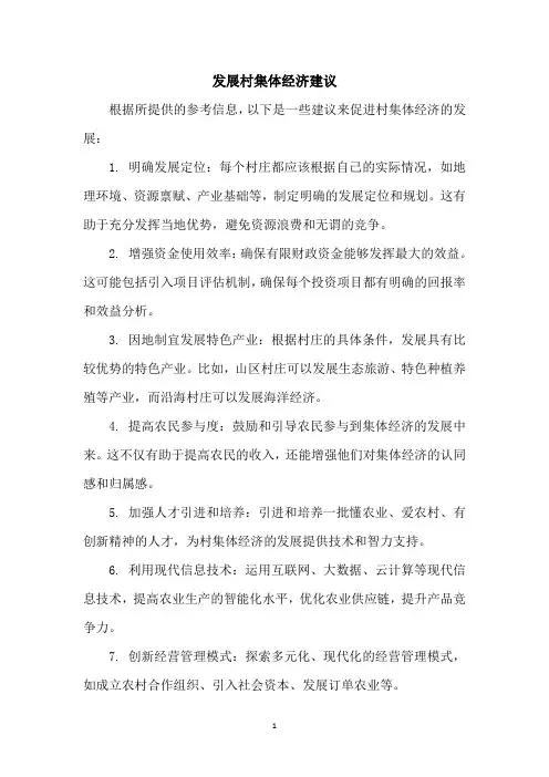 发展村集体经济建议