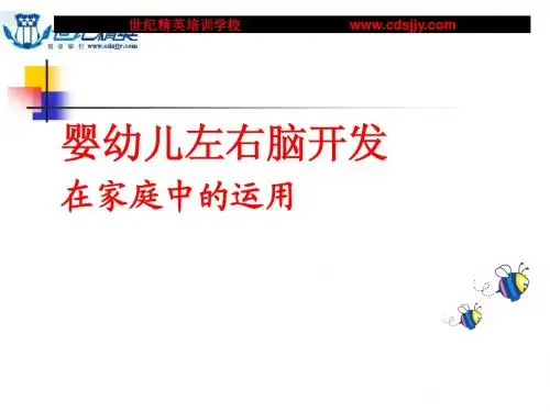 婴幼儿全脑开发课件、