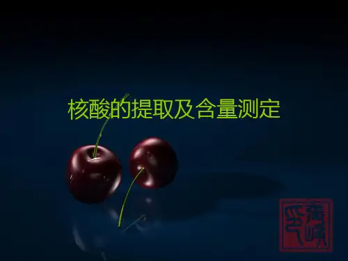 核酸的提取及含量的测定