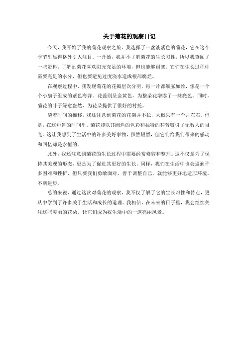 关于菊花的观察日记