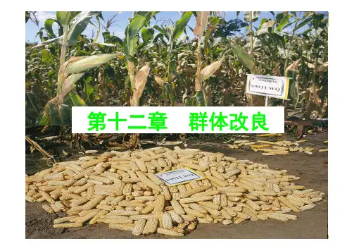 作物育种学：13第十二章群体改良