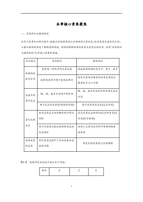 高中化学新教材同步必修第一册  第1章 物质及其变化 本章核心素养聚焦
