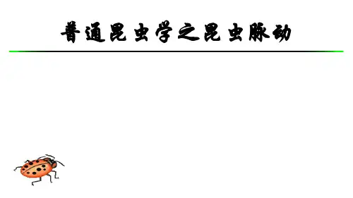 22昆虫的口器