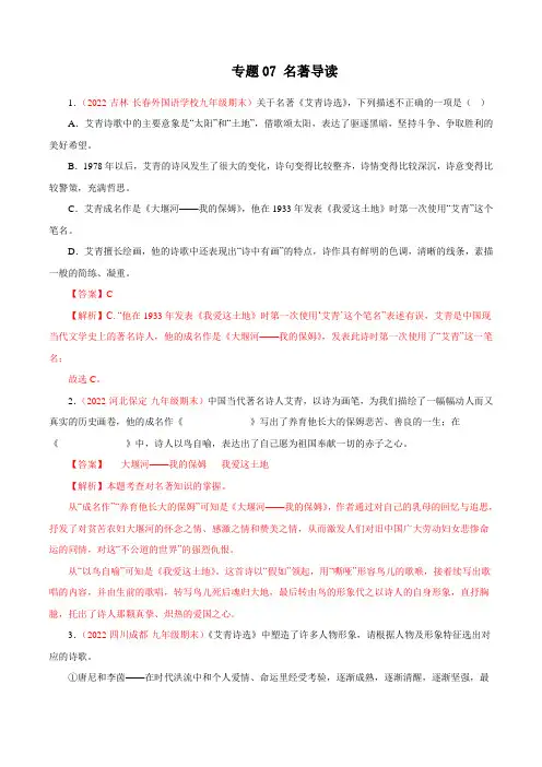 名著导读(专题过关)-2022-2023学年九年级语文上学期期中期末考点大串讲(部编版)(解析版)