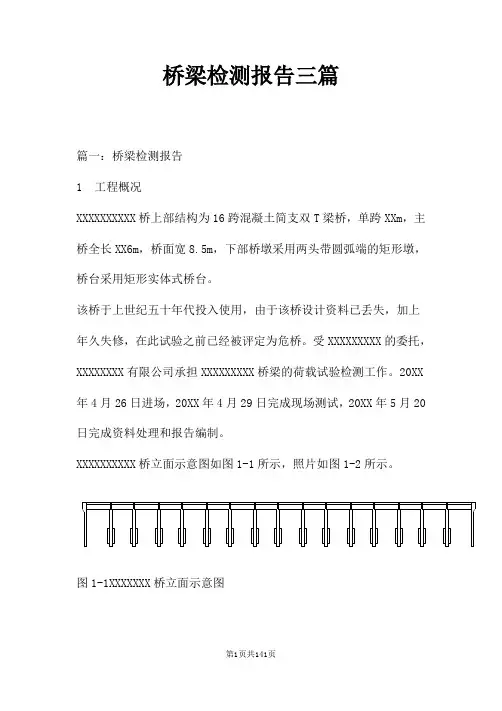 桥梁检测报告三篇