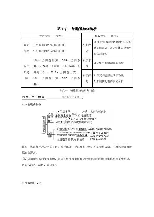 2021高考生物一轮复习第二单元细胞的基本结构与物质运输第4讲细胞膜与细胞核教案新人教版必修1