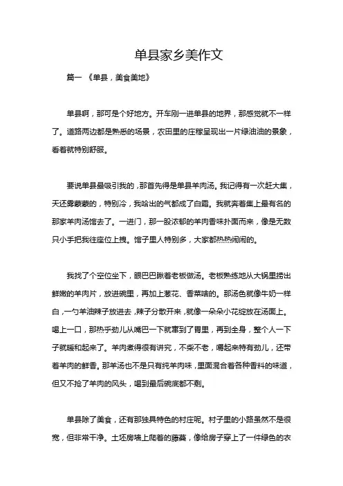 单县家乡美作文