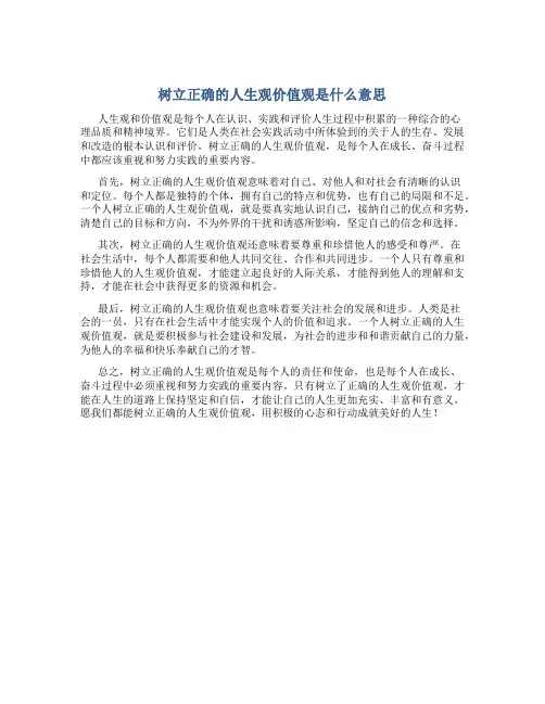树立正确的人生观价值观是什么意思