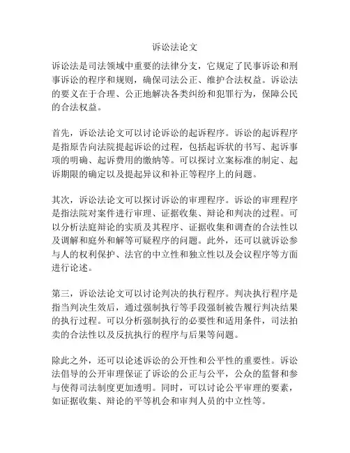 诉讼法论文