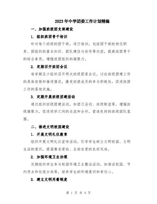 2023年中学团委工作计划精编