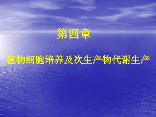 植物细胞培养及次生产物代谢生产