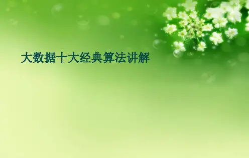 大数据十大经典算法讲解优秀课件