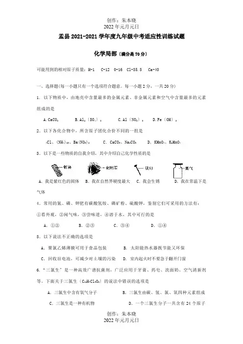中考化学适应性训练考试试题