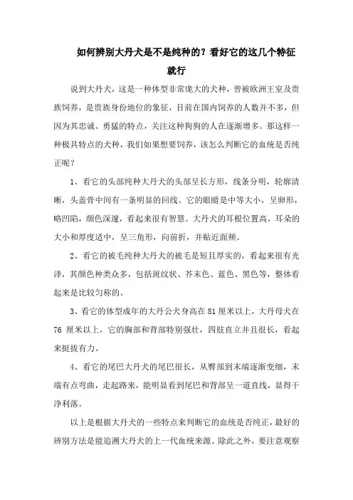 如何辨别大丹犬是不是纯种的？看好它的这几个特征就行
