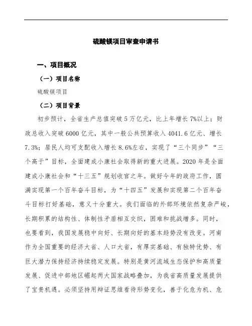 硫酸镁项目审查申请书参考模板