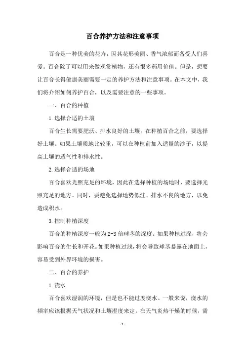 百合养护方法和注意事项
