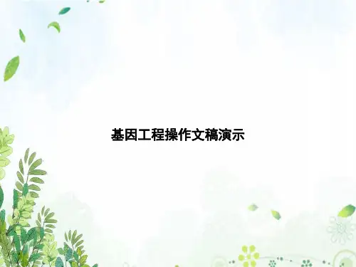 基因工程操作文稿演示