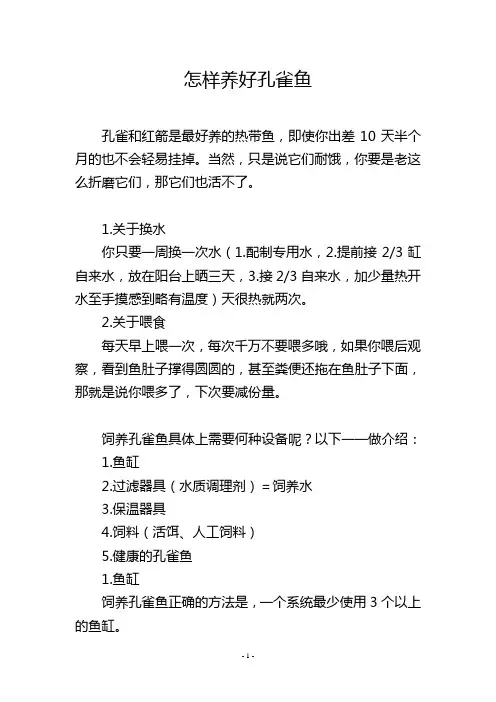 怎样养好孔雀鱼