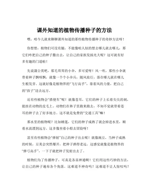 课外知道的植物传播种子的方法