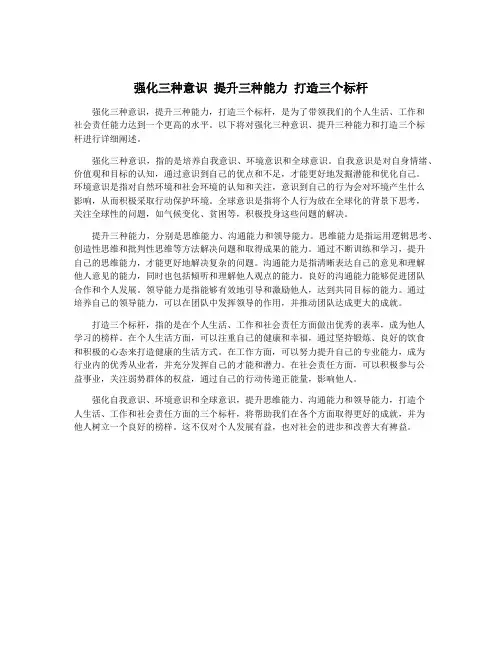 强化三种意识 提升三种能力 打造三个标杆