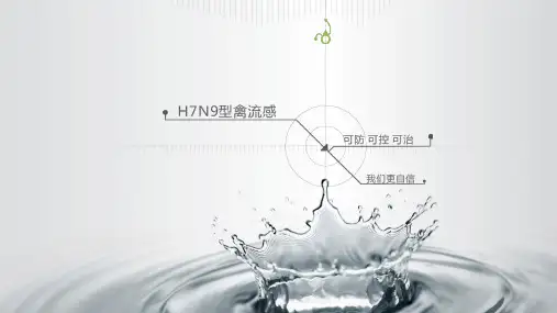 关于禽流感的PPT课件