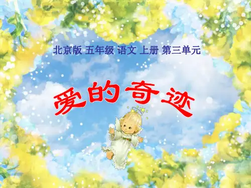 五年级语文爱的奇迹1(201912)