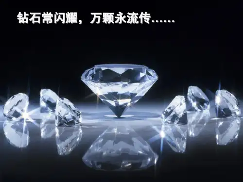 保险钻石沙龙PPT课件