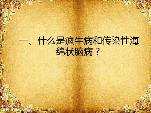 疯牛病