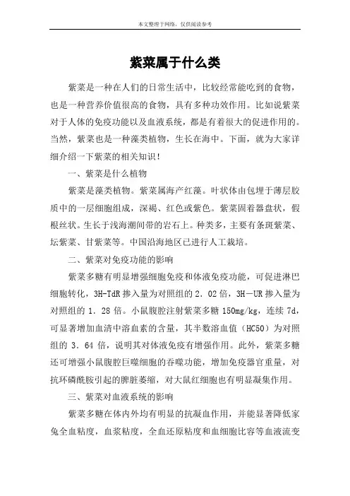 紫菜属于什么类