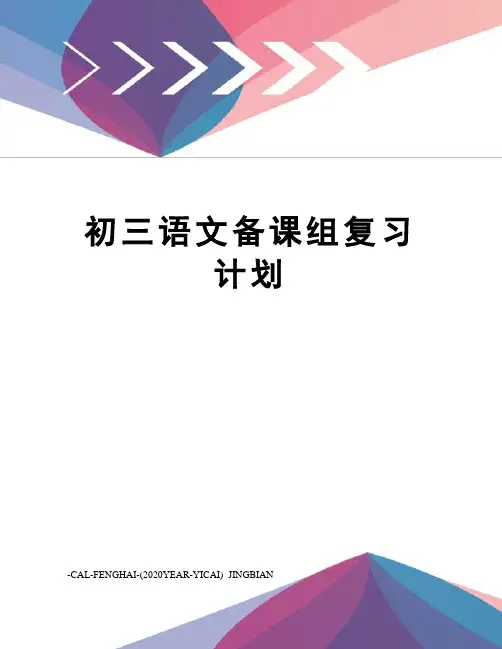 初三语文备课组复习计划