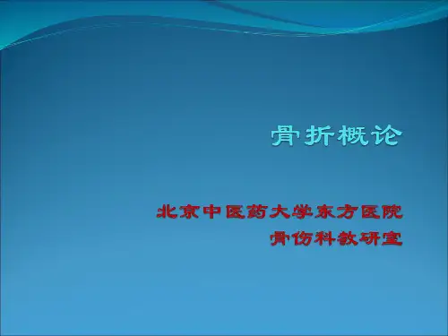 骨折概论