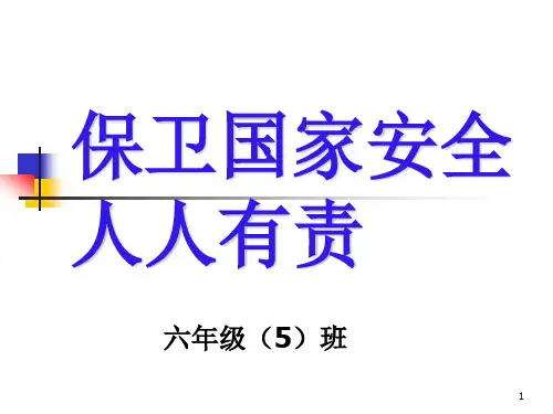 国家安全人人有责ppt课件