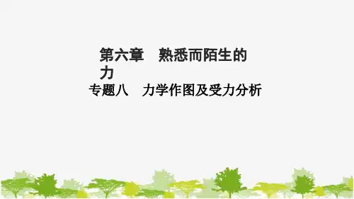 沪科版物理八年级上册 第六章？熟悉而陌生的力 专题八 力学作图及受力分析课件