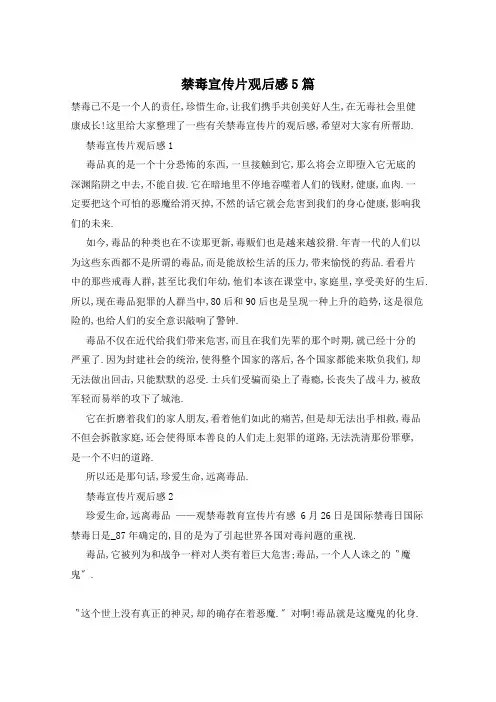 禁毒宣传片观后感5篇