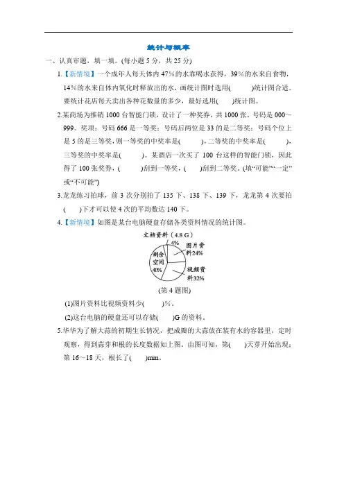 北师大版数学小升初专项训练 -统计与概率