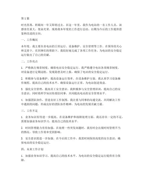 电站个人年度总结(3篇)