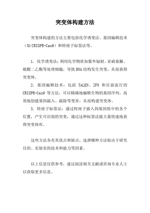 突变体构建方法
