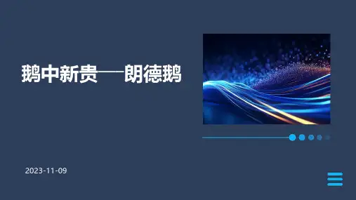 鹅中新贵―――朗德鹅