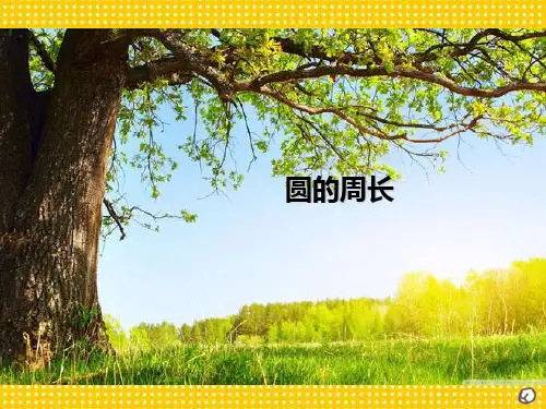 《圆的周长》PPT课件