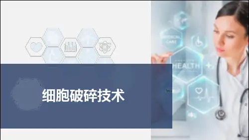 18-2 细胞破碎技术