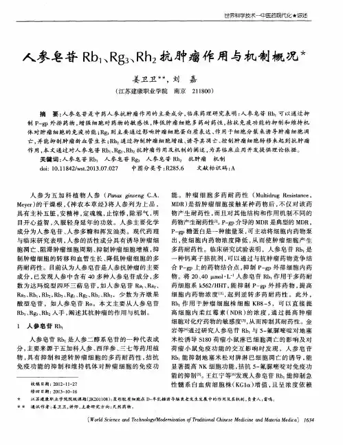 人参皂苷Rb1、Rg3、Rh2抗肿瘤作用与机制概况