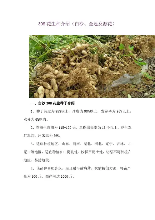 308花生种介绍(白沙、金冠及源花)